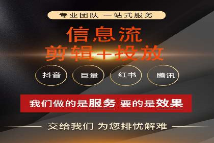 高效SEM托管服务：成功案例深度解析